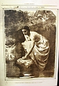 Asini, Muli, Corvi, Maiali_142